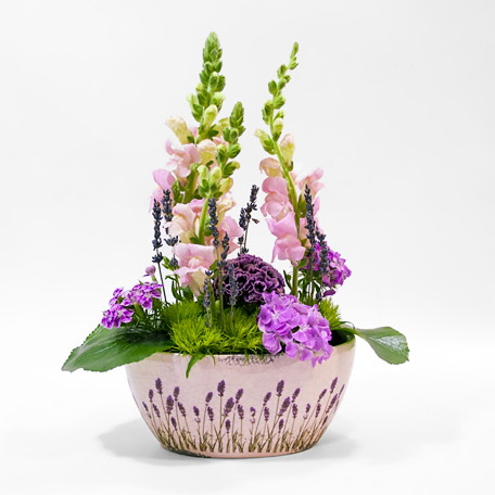 Produto: Taça de Alfazemas